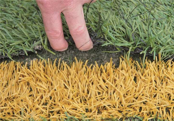 Schäden im Vredestein-Stadion