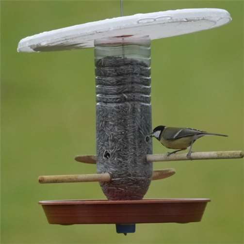 Vogelfütterung - ganz einfach? Vogelfütterung - ganz einfach?