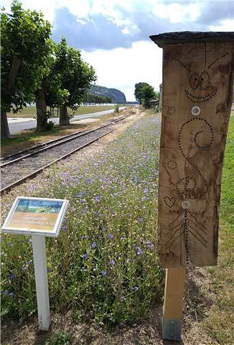 Zahlreiche Aktivitäten 