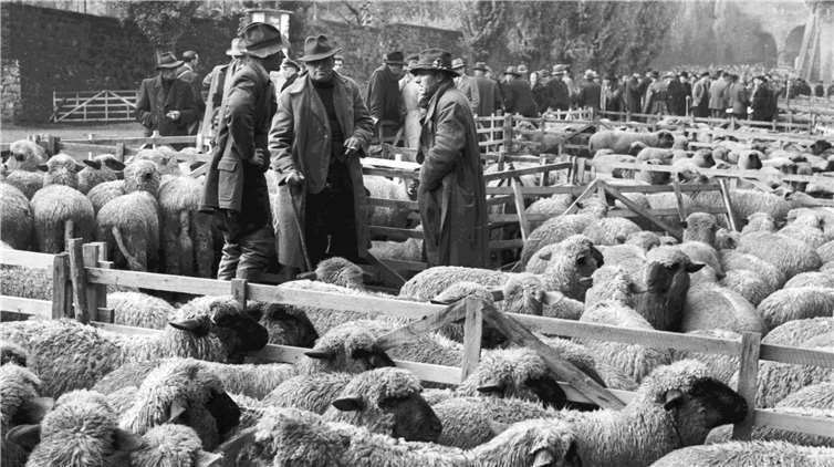 Flanieren & Feiern nach der großen Zerstörung 