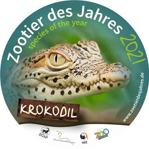 Zootier des Jahres 2021: Das Krokodil 