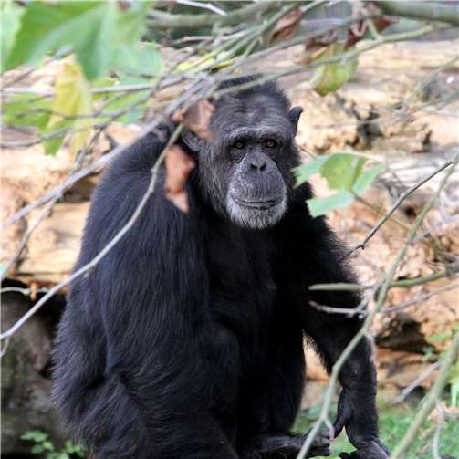 Haben die Zootiere die Besucher vermisst? 