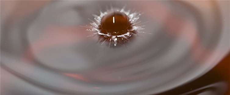 Trinkwasser: Schacht ist wahrscheinliche Ursache  