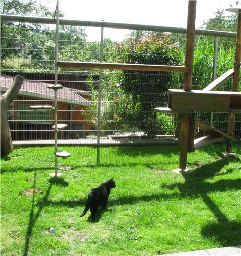 "Gerade schüchterne Tiere brauchen ein gutes Zuhause" "Gerade schüchterne Tiere brauchen ein gutes Zuhause"