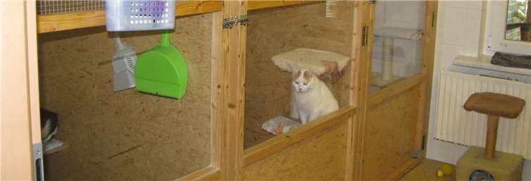 "Gerade schüchterne Tiere brauchen ein gutes Zuhause" "Gerade schüchterne Tiere brauchen ein gutes Zuhause"