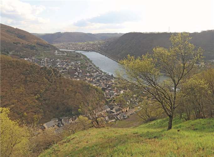 Wertvolle Lebensräume in Weinberghängen in Handarbeit geschaffen 
