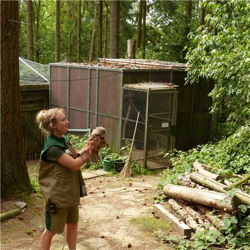 Zoos verstärken Artenschutzengagement deutlich 