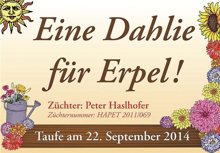 Erpel erhält „seine“ Dahlie 