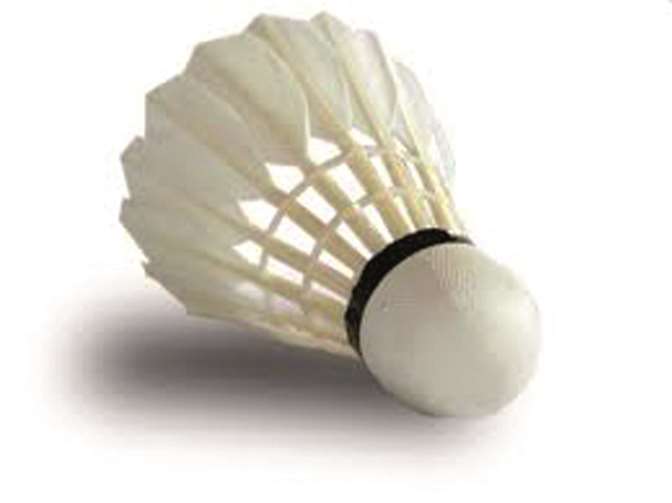 Badminton- Nachwuchs erwünscht 