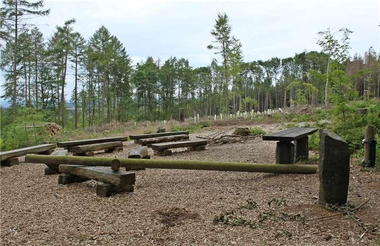 Unbekannte sägen Holzkreuz ab 