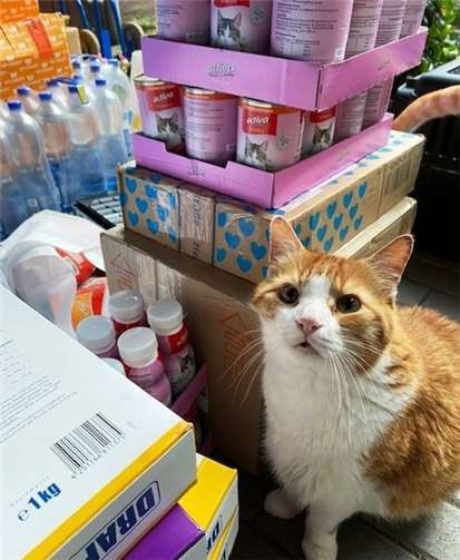 „Danke“ für die tolle Unterstützung 