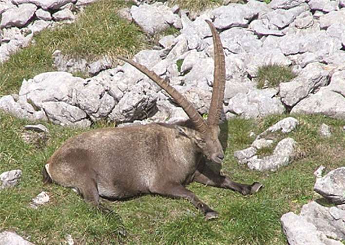 Der Königssee wurde erklommen 