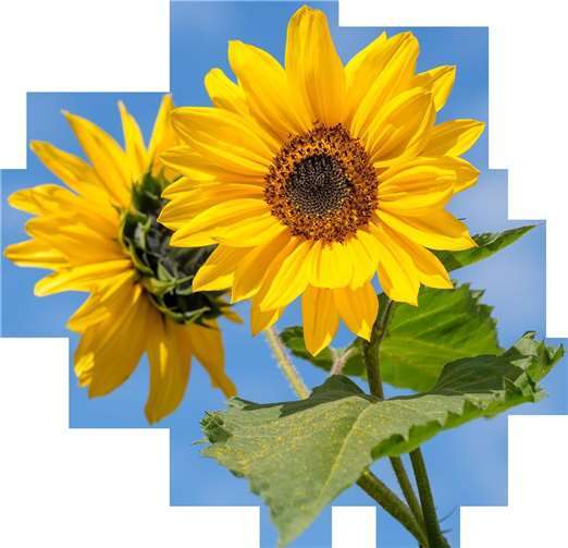 Ein bunter Programmmarathon wird das Publikum begeistern 