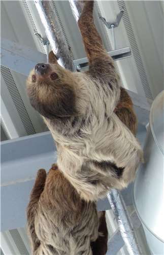 Energiesparmodelle par Excellence