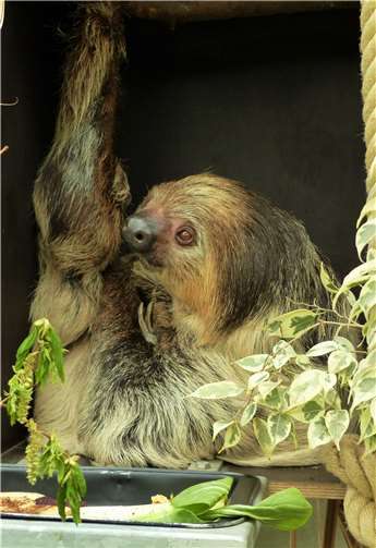 Energiesparmodelle par Excellence 