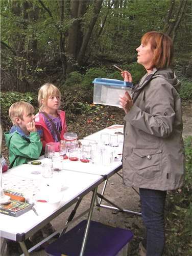 Steinläufer, Schnurfüßer, Kugelassel und Co. 