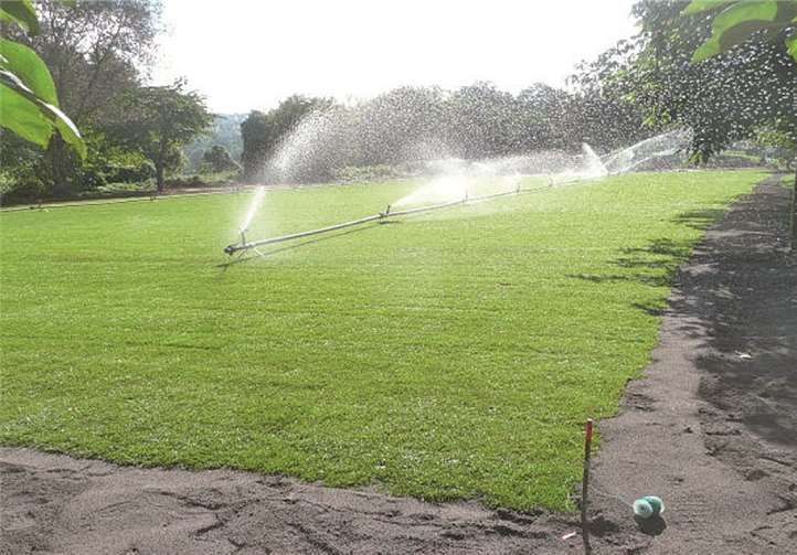 Viele Helfer verlegten Rollrasen 