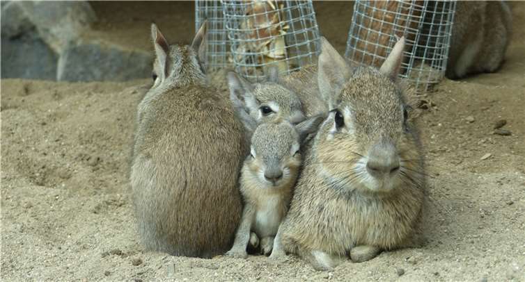 Eine Erfolgsgeschichte 