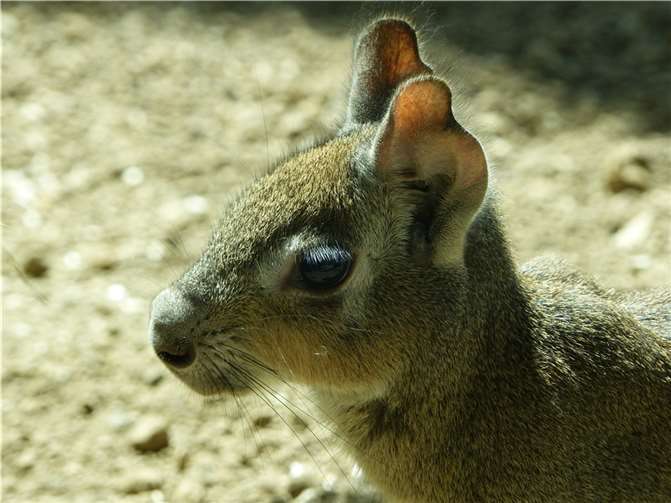 Eine Erfolgsgeschichte 