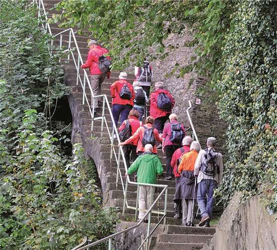 Unterwegs auf dem Rheinburgenweg 