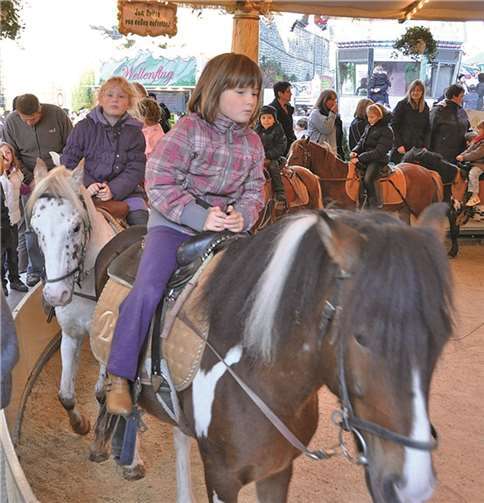 Betreiber des Ponyreitens versteht die Welt nicht mehr