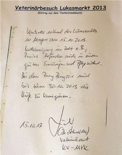 Betreiber des Ponyreitens versteht die Welt nicht mehr 