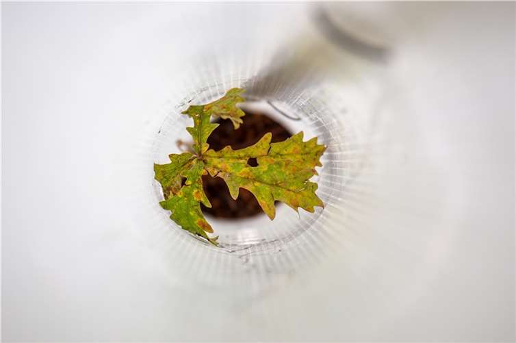 Mit über 40.000 Euro wurde das Spendenziel deutlich übertroffen 