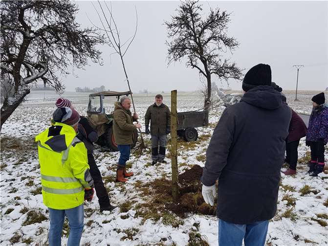 Erste erfolgreiche Pflanzaktion