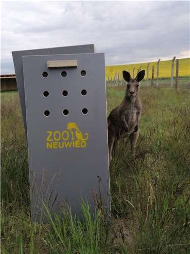 Ein neues Zuhause für Känguru und Co 