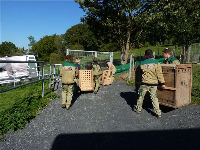 Ein neues Zuhause für Känguru und Co 