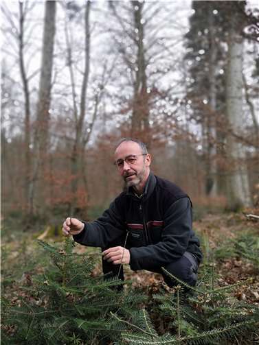 Klimastabile zukunftsfähige Wälder sind arten- und strukturreich 