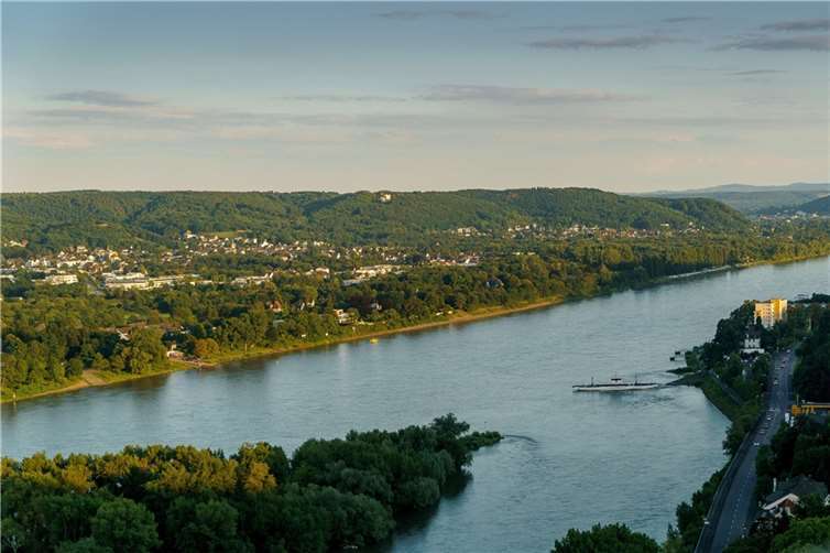 Schiffsunfall auf dem Rhein: Fährbetrieb bis auf Weiteres eingestellt 