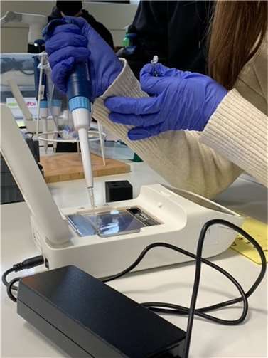 Spannende Arbeiten im Genlabor 