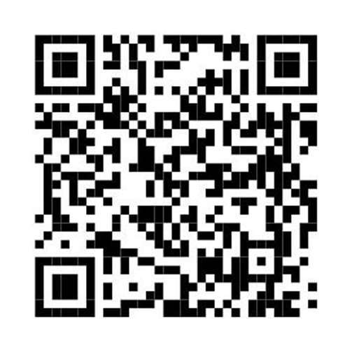 Online Sitzung geht an den Start 