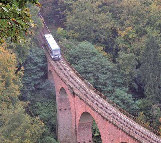 Wandern & Wein zwischen Hunsrück und Rhein 
