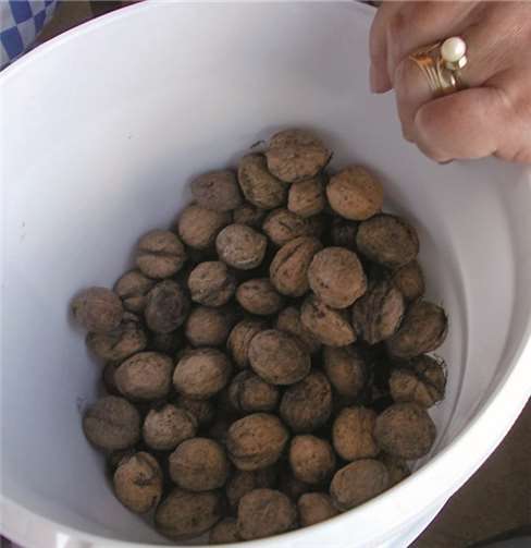 „Herbstgedichte, die die Welt nicht braucht“ 