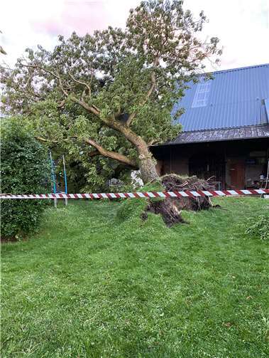 Wirfus: Tornado hinterlässt Spur der Verwüstung 