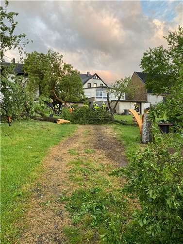 Wirfus: Tornado hinterlässt Spur der Verwüstung 