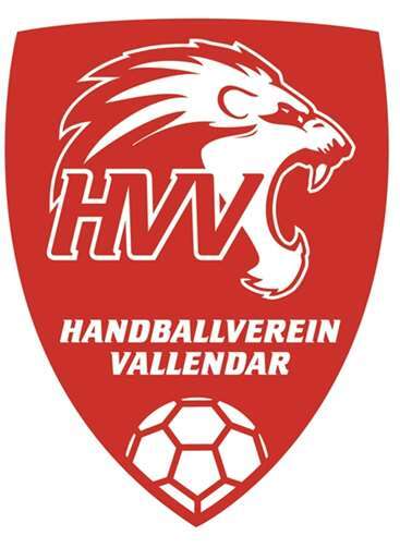 Löwen müssen erste Heimspielniederlage hinnehmen 