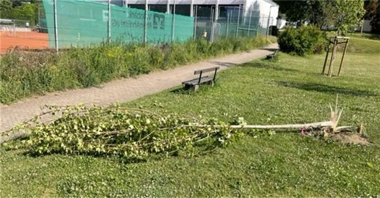 Sinnloser Vandalismus in Kottenheim 