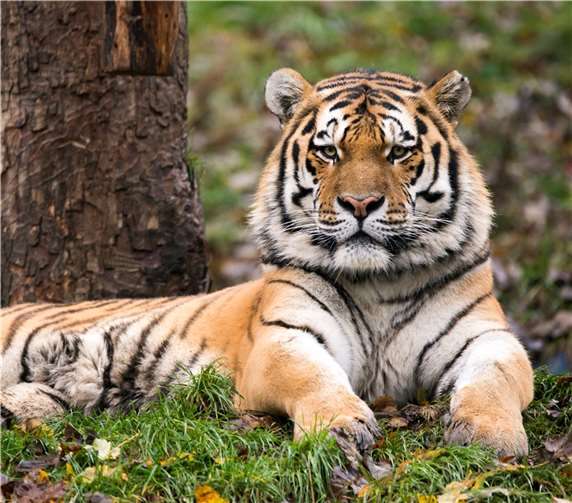 Eine ganz besondere Safari 