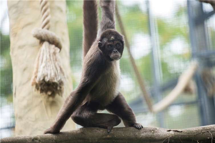 Eine ganz besondere Safari 