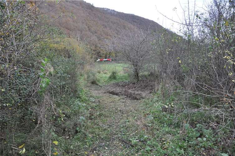 Mann bringt Ehefrau um 