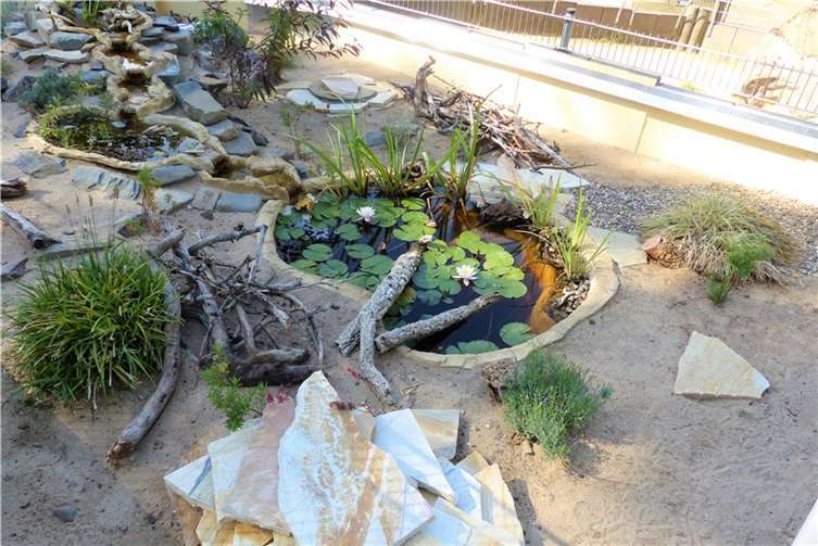 Unkenrufe: Ein Grund zur Freude 