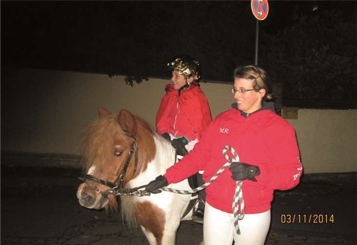 St. Martinsumzug begeisterte alle 