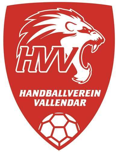 Zwei Siege für die Löwen 