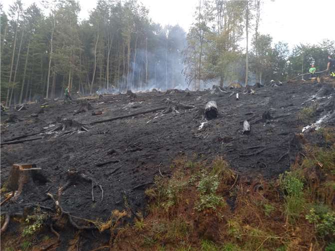 Aubachtal: Fläche von 500 x 500 Metern in Flammen 