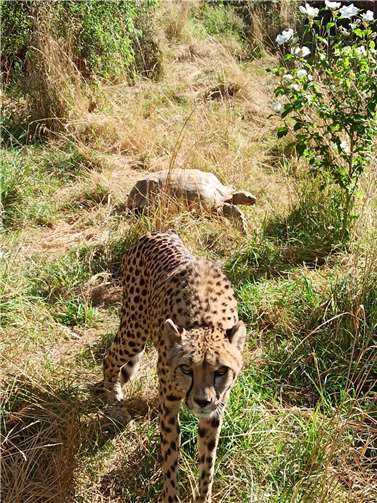 Herbstvorbereitungen bei Carmen und Robert 