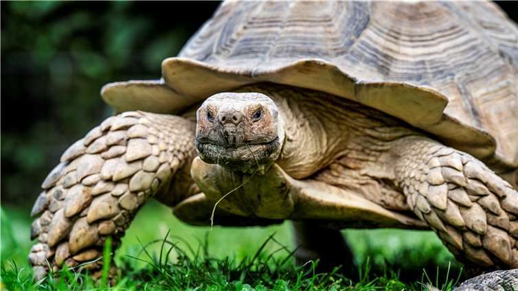 Herbstvorbereitungen bei Carmen und Robert 