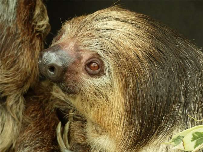 Die Entdeckung der Langsamkeit 